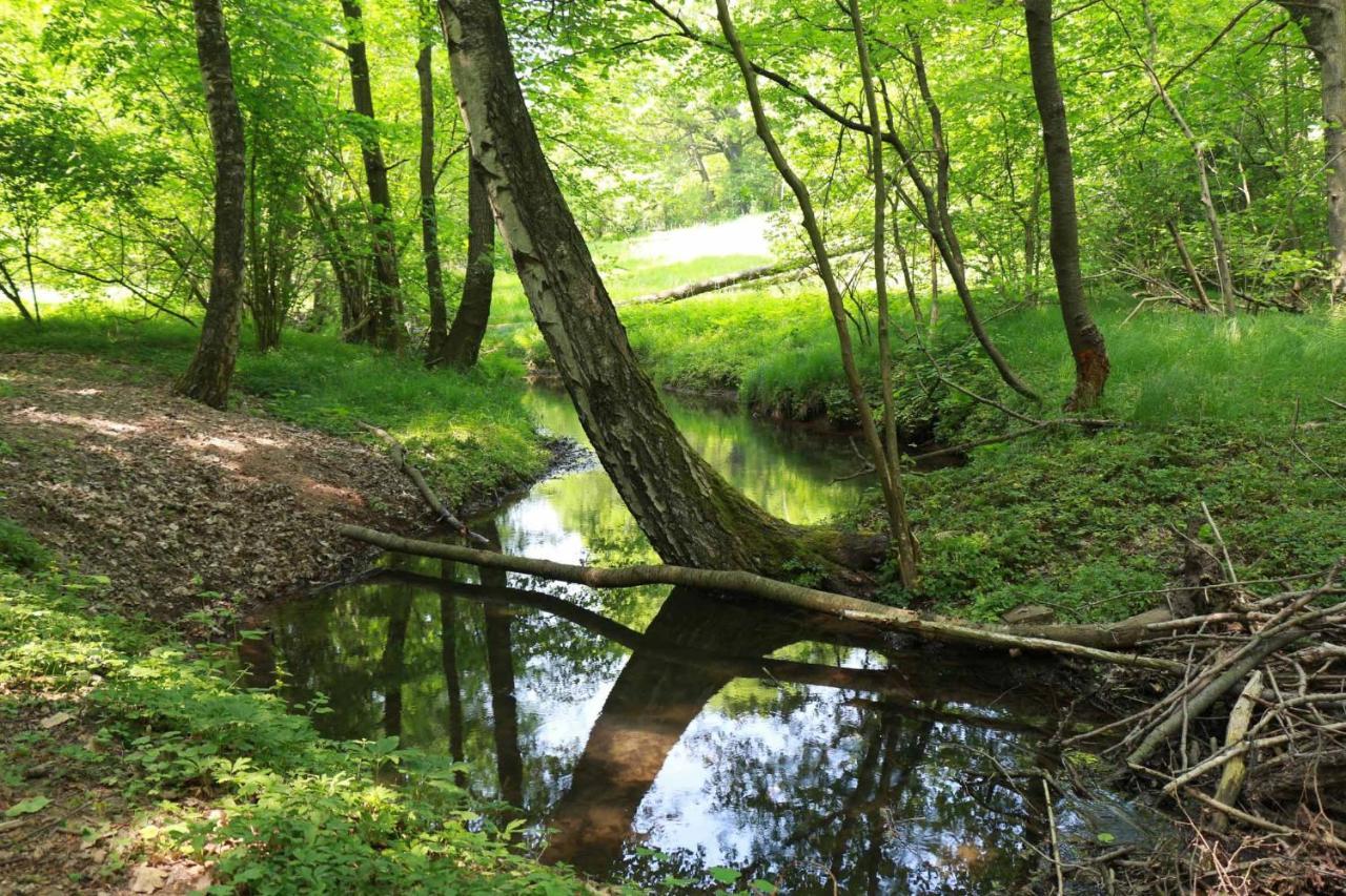 Biohof Buschmuehle Lägenhet Konigsfeld  Exteriör bild